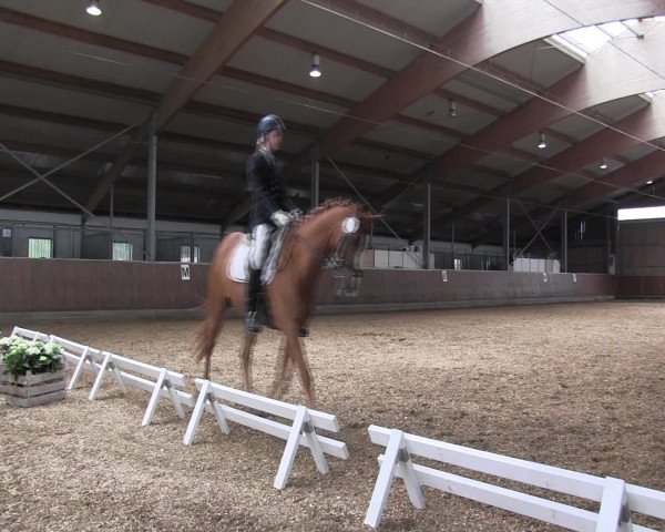 Reitturnier Fröndenberg 2016
