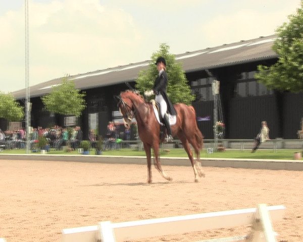 Reitturnier Fröndenberg 2016