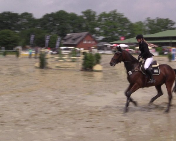 Coesfelder Reitertage 2016