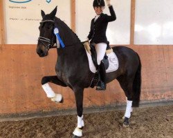 dressage horse Juliëtta (KWPN (Royal Dutch Sporthorse), 2014, from Lord Leatherdale)