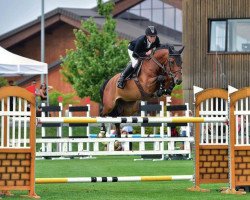 jumper E Clinton (KWPN (Royal Dutch Sporthorse), 2009, from Clinton)