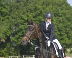 dressage horse Zahin (Hanoverian, 2015, from Zack)