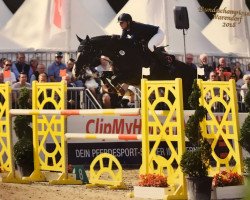 jumper Pertino 2 (Hanoverian, 2012, from Perigueux)