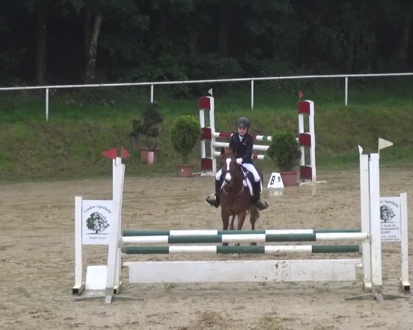 Reitturnier Viersen-Dülken 2016 - Kleines Sommerturnier