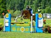 jumper Quatano CH (Swiss Warmblood, 2008, from Quat)