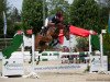 jumper Ignatz H (German Sport Horse, 2015, from Inliner)