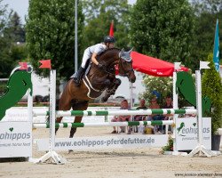 dressage horse FBW Felipe (German Sport Horse, 2015, from Fürstenball)