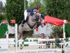 jumper Carry Mary F (German Sport Horse, 2015, from Cassilano)