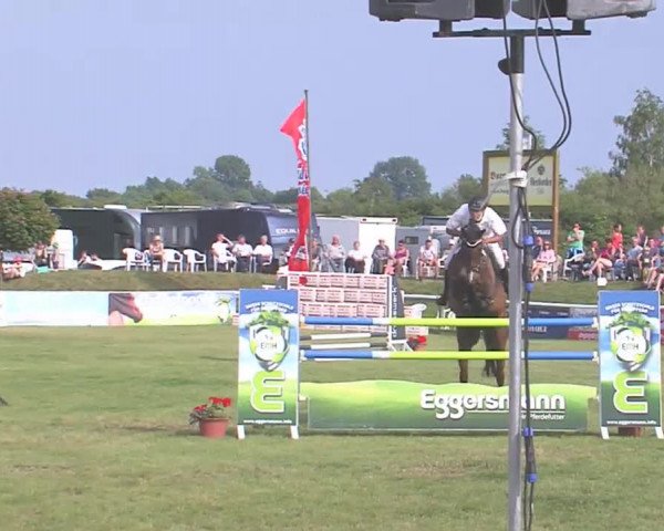 Fehmarn-Pferde-Festival  2016
