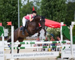 jumper Uri 19 (German Sport Horse, 2015, from Uriko)