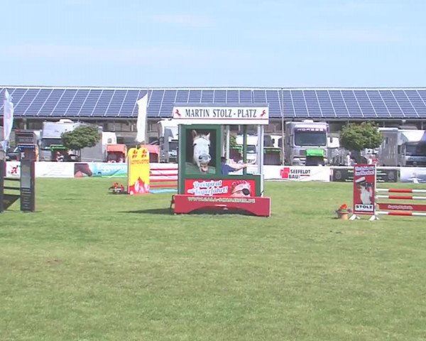 Fehmarn-Pferde-Festival  2016