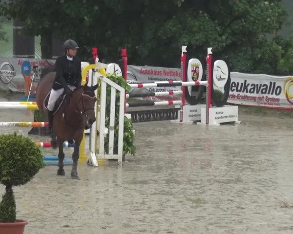 Reitturnier Kalenborn Hegehof 2016
