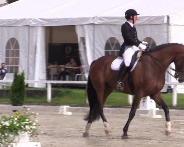 Reitturnier Melle-Ostenfelde 2016