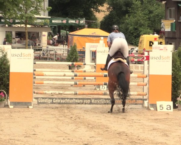 Reitturnier Schwerte-Gut Kückshausen 2016