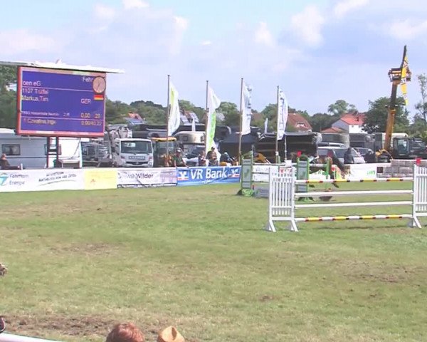 Fehmarn-Pferde-Festival  2016