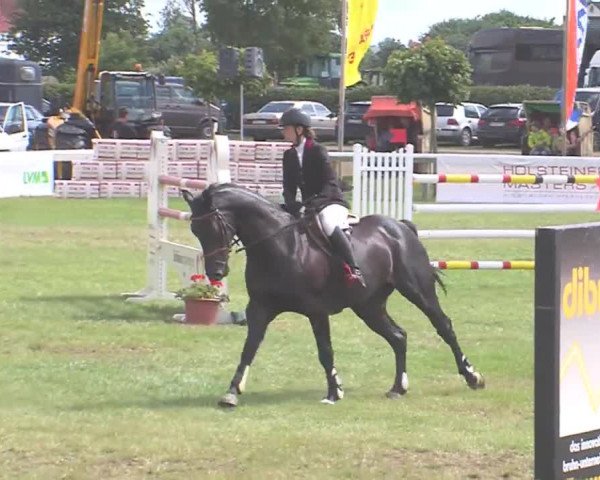 Fehmarn-Pferde-Festival  2016