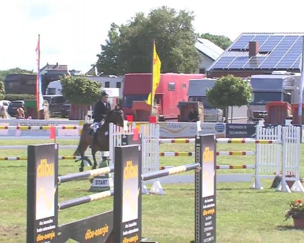 Fehmarn-Pferde-Festival  2016