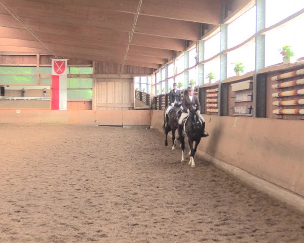Reitturnier Schwerte-Gut Kückshausen 2016