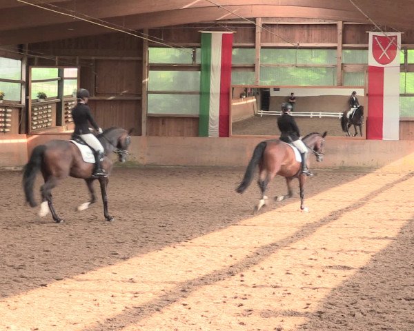 Reitturnier Schwerte-Gut Kückshausen 2016