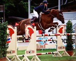 jumper Rosalie 164 (Hanoverian, 2006, from Royal Blend)