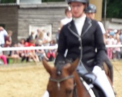 broodmare Oosterbroek Fancy (New Forest Pony, 2002, from Moorland's Crack)