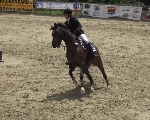 Reitturnier Kalenborn Hegehof 2016