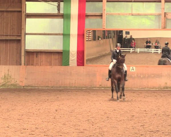 Reitturnier Schwerte-Gut Kückshausen 2016