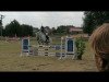 jumper Quandolina 3 (Austrian Warmblood, 2012)