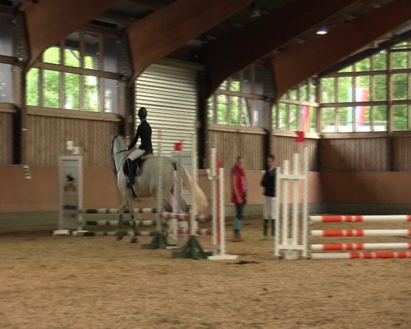 Reitturnier Fröndenberg 2016
