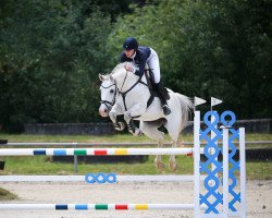 broodmare Sonja II Sd (Oldenburg show jumper, 2009, from Ciacomini)