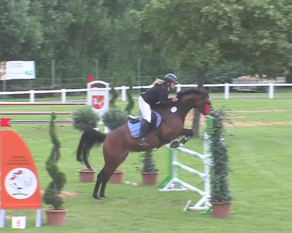 Reitturnier Marne 2016