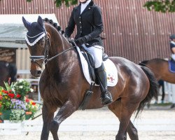 dressage horse Vita IV (KWPN (Royal Dutch Sporthorse), 2002, from Obelisk)