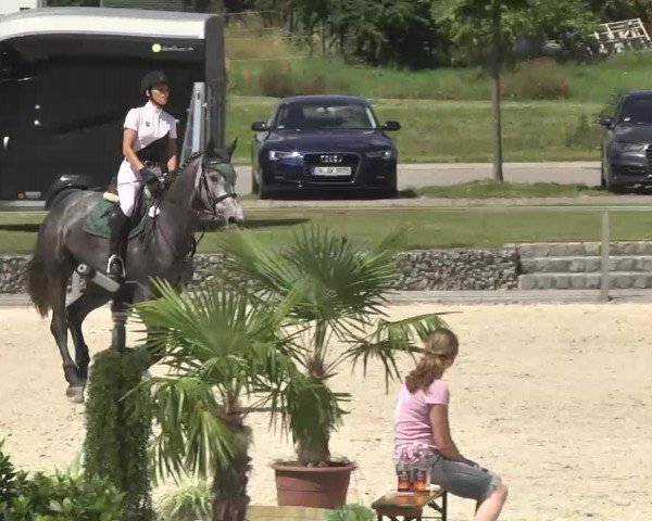 Reitturnier Ingolstadt-Hagau 2016
