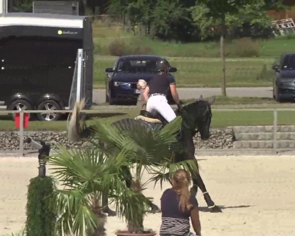 Reitturnier Ingolstadt-Hagau 2016