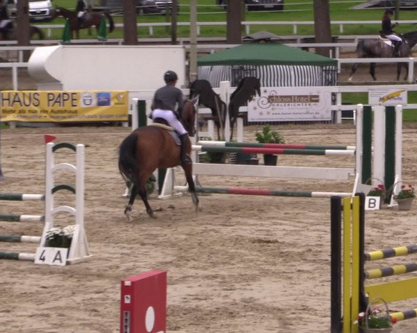 Reitturnier Letmathe 2016