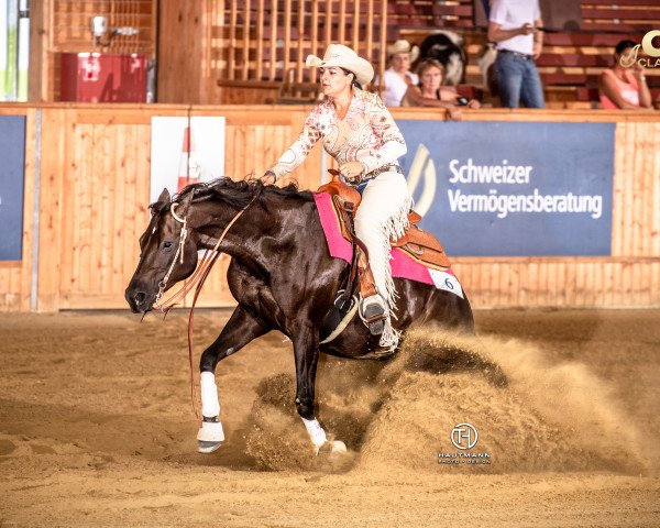 Zuchtstute Colonels Black Pearl (Quarter Horse, 2009, von Mr Colonel Smart)