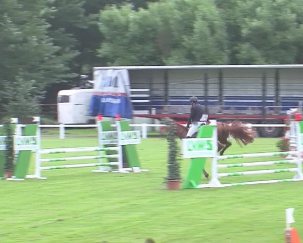 Reitturnier Marne 2016