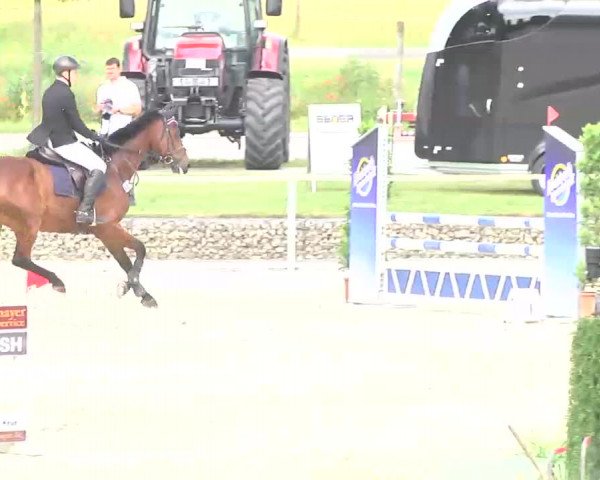 Reitturnier Ingolstadt-Hagau 2016