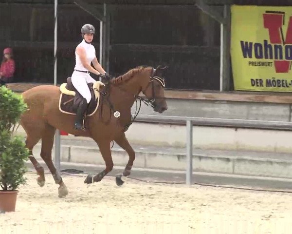 Reitturnier Ingolstadt-Hagau 2016