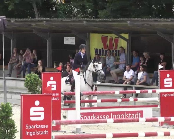 Reitturnier Ingolstadt-Hagau 2016