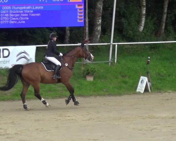 Reitturnier Viersen-Dülken 2016