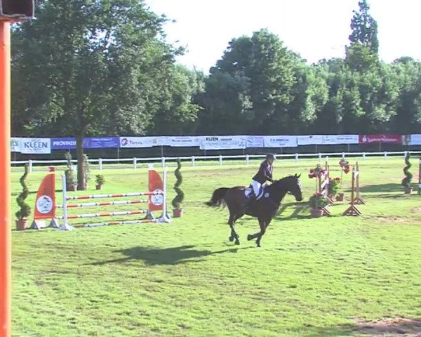 Reitturnier Marne 2016