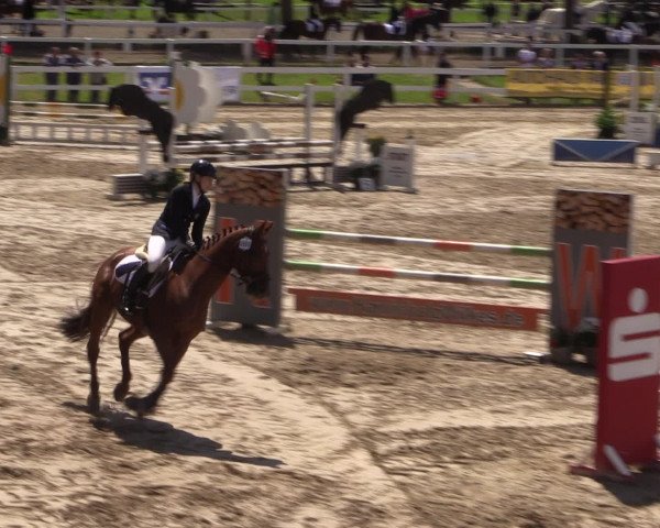Reitturnier Letmathe 2016