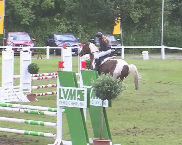 Reitturnier Marne 2016
