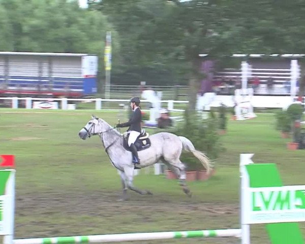 Reitturnier Marne 2016