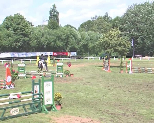 Reitturnier Marne 2016
