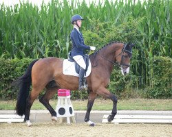 dressage horse For Me 23 (Rhinelander, 2006, from Fidertanz)