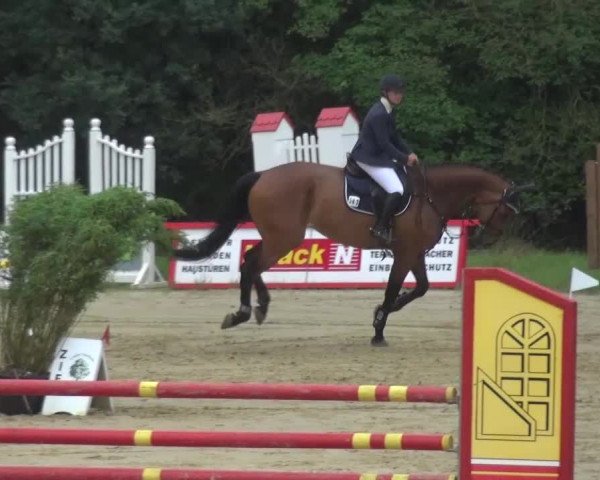 Reitturnier Viersen-Dülken 2016