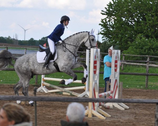 horse Corlido (Rhinelander, 2010, from Cassone)