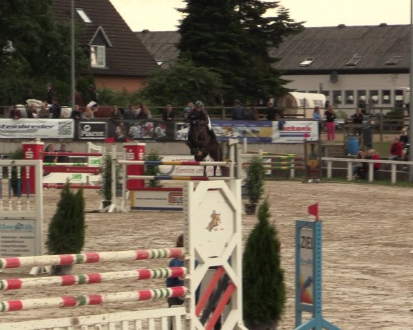 Reitturnier Melle-Ostenfelde 2016